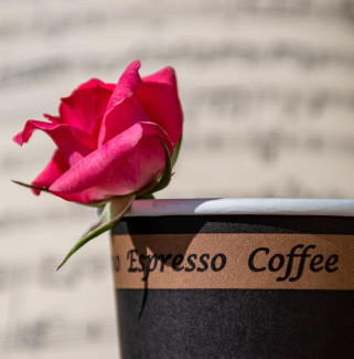 Rose in einem Kaffeebecher