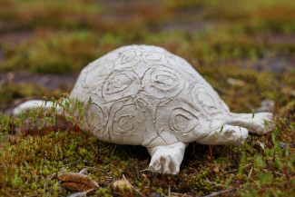selbst getöpferte Schildkröte