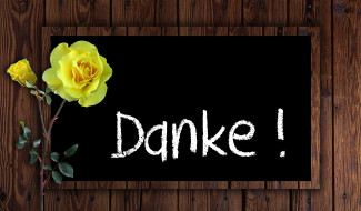 DANKE mit gelber Rose